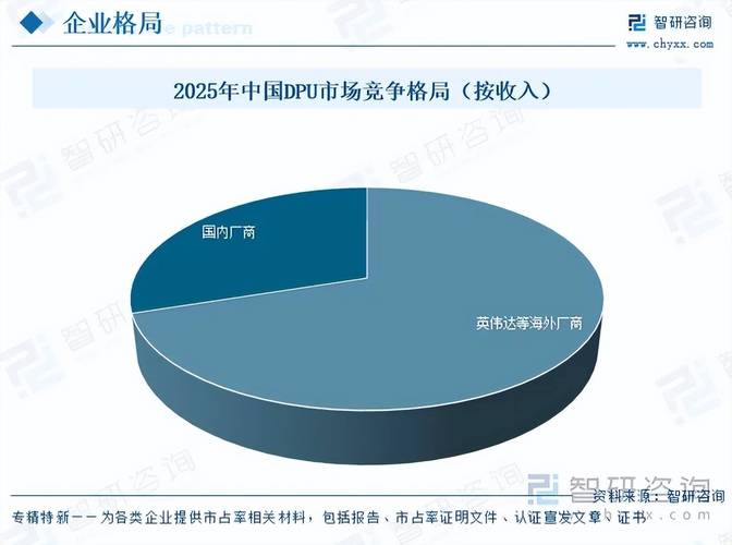 2026年中国数据处理器